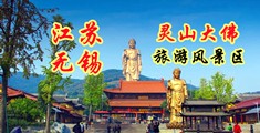 欧美尻屄×XXx江苏无锡灵山大佛旅游风景区